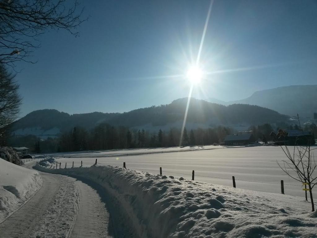 Familienhotel Adler Lingenau Exteriör bild